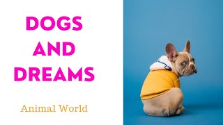 Dogs and dreams @Animal World by The World of Animals 132 views 1 year ago 53 seconds