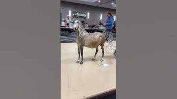 Model horse customs & artist resins from Pumpkins & Ponies Live🎃 #breyerhorses #breyer #modelhorse