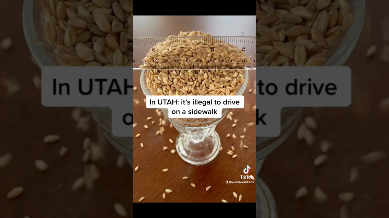 Craziest Laws That You Never Heard About! 