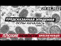 Предсказанная эпидемия оспы началась.