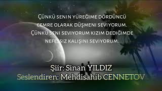 Seni Seviyorum Şiir: Sinan Yildiz/ Seslendiren: Meisahib Cennetov Resimi