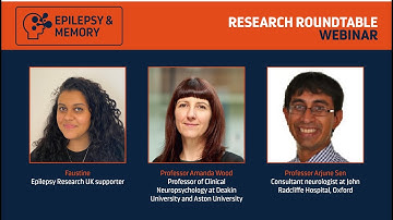 Research Roundtable on epilepsy and memory