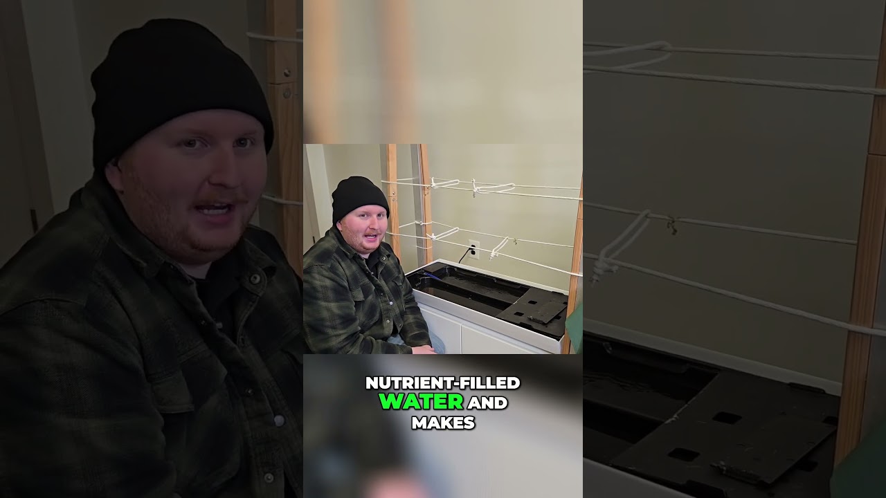 NFT System  Pros & Cons for Plant Growth