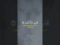 آيات عظيمة تصف أحوال يوم القيامة خواتيم سورة عبس للشيخ محمد جبريل آيات عظيمة تصف أحوال يوم القيامة خواتيم سورة عبس للشيخ محمد جبريل