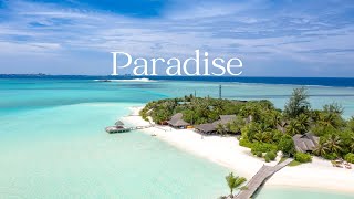 Paradise: Beautiful Relaxing Music with Piano, Cello, Duduk, Flute \& Violin | Mood Relaxation Music