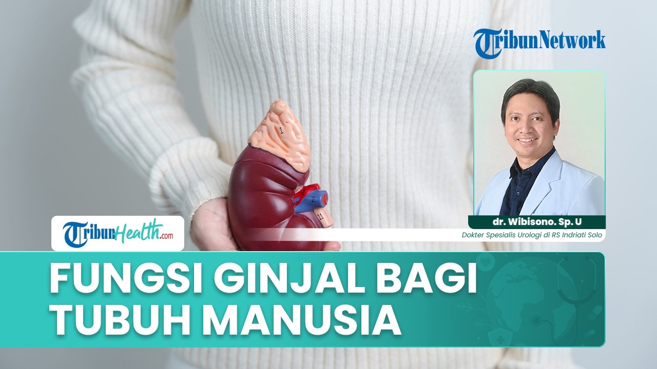 Fungsi Ginjal bagi Tubuh Manusia: Peran Penting Menyaring Racun dan Menjaga Keseimbangan Tubuh
