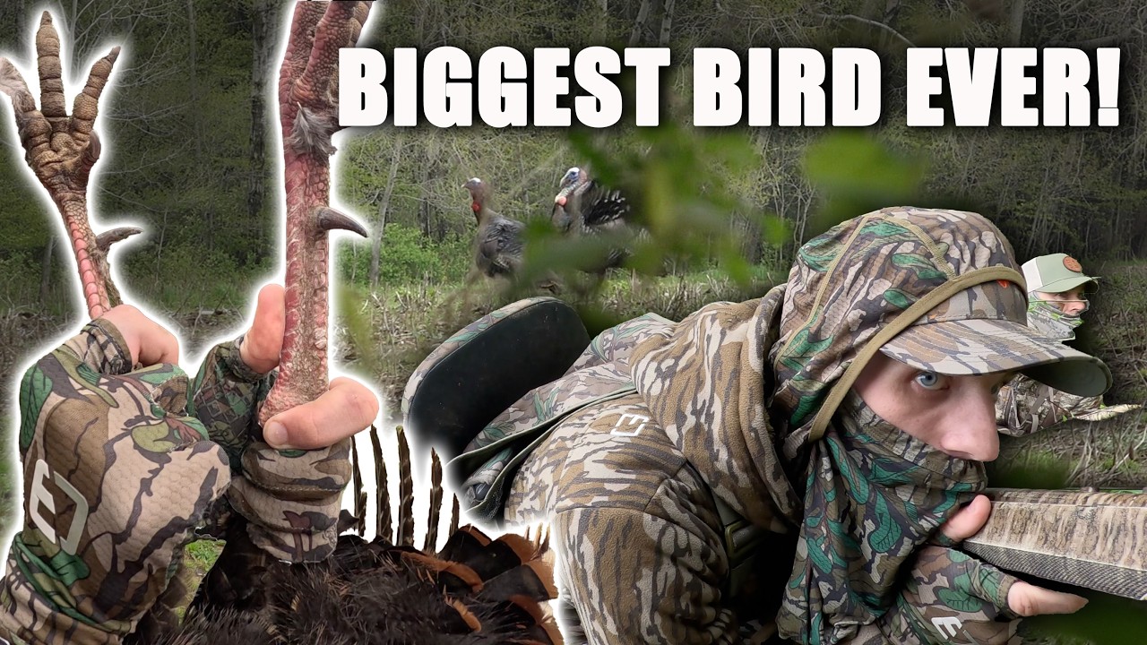 New York Turkey Hunting - BIGGEST Bird Ever