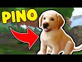 HO COMPRATO UN CANE !