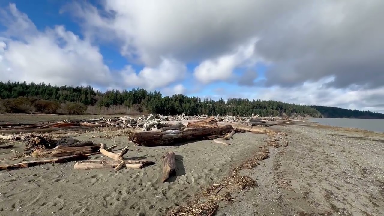 Walking along the shoreline at Iverson Preserve #naturelovers #sand #driftwood #wastate 