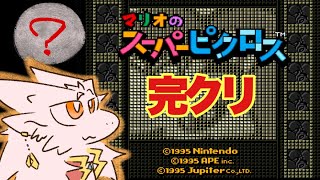 ドラゴン、頭を使う。最終回【マリオのスーパーピクロス】