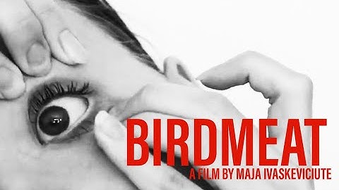 BirdMeat (NYU FFW 2020) - Maja Ivaskeviciute