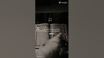 القرآن الكريم راحه نفسيه #اكسبلور  #لايك #اكسبلور