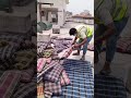 Bedbugs Control Service in Mirpur Dhaka Bangladesh | Dhaka Pest Control Services | Near Me Pests