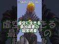 最凶最悪の超常現象:虚空怪獣グリーザ【1分で君もウルトラ博士~ウルトラ怪獣編~】【Coefont解説】【VOICELOID解説】#shorts #ウルトラマン #ウルトラマン解説