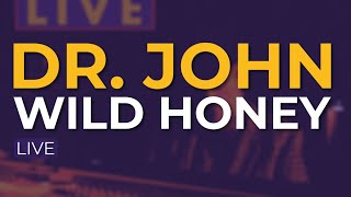 Dr. John - Wild Honey (Live) (Official Audio)