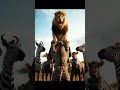 Lion’s Comeback Will Shock You 😱”