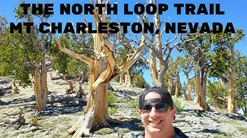 Thumbnail of THE NORTH LOOP TRAIL MT CHARLESTON, NEVADA