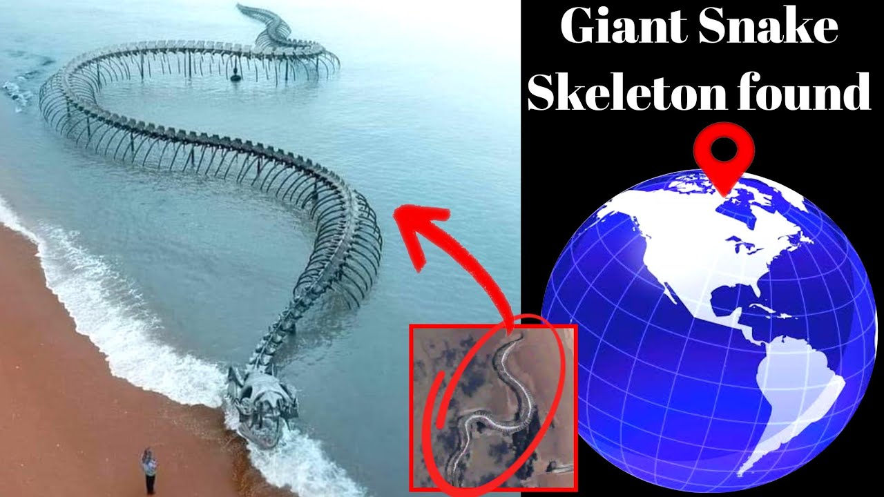 Giant Snake Skeleton found on Google Map 🌎 Google Map Mysterious Locations