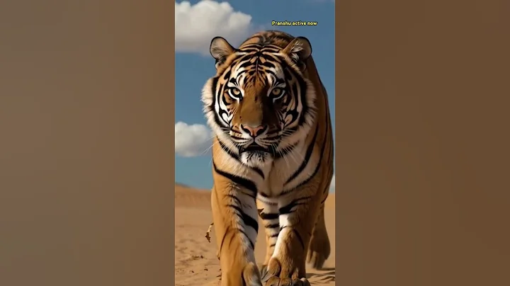 Lady Soldier ate watermelon and Tiger saved the watermelon plant from drying by watering it 😭 #ai​