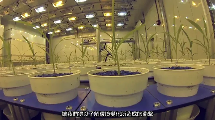 基因改造食品与下一次绿色革命 - 天天要闻