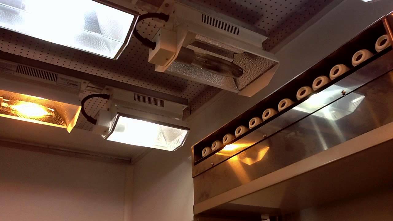 CONVIRON - система увлажнения в климатических камерах