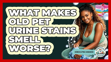 What Makes Old Pet Urine Stains Smell Worse? - Homekeeping Handbook