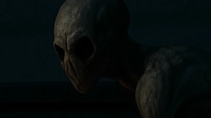 REAL 911 AUDIO: Dispatch Call Logs Reveal CLASS A Rake Encounter in North Carolina (E-2)