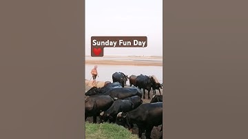 Our Sunday Funday Routine | Relax, Reset & Recharge
