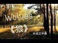 ✔Wolves 《狼》－Selena Gomez, Marshmello 中文字幕✔