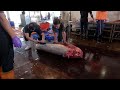Satisfying Giant Tuna Filleting! The Most Impressive Fish Market Skill You'll See Today!