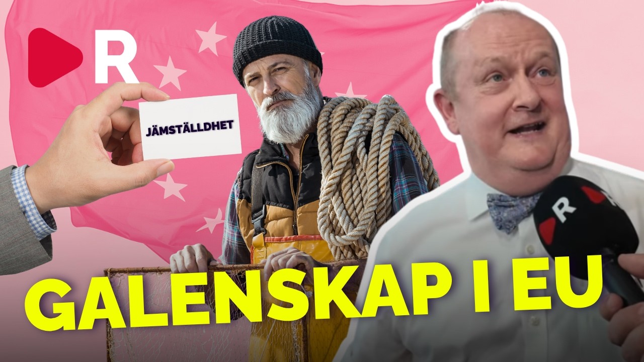 Bråk i EU-parlamentet: liberaler rasar när fakta "gynnar högern"
