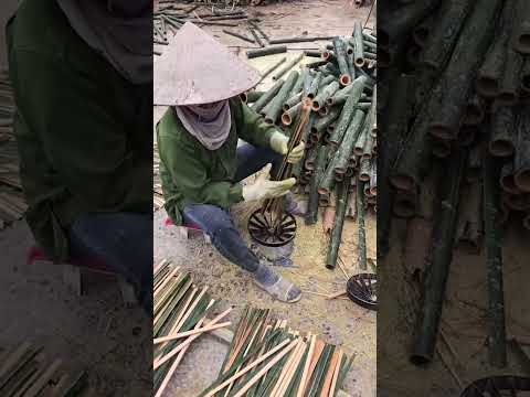 #farming #farmlife #agriculture #farmtok #organicfarming #noamanreaction