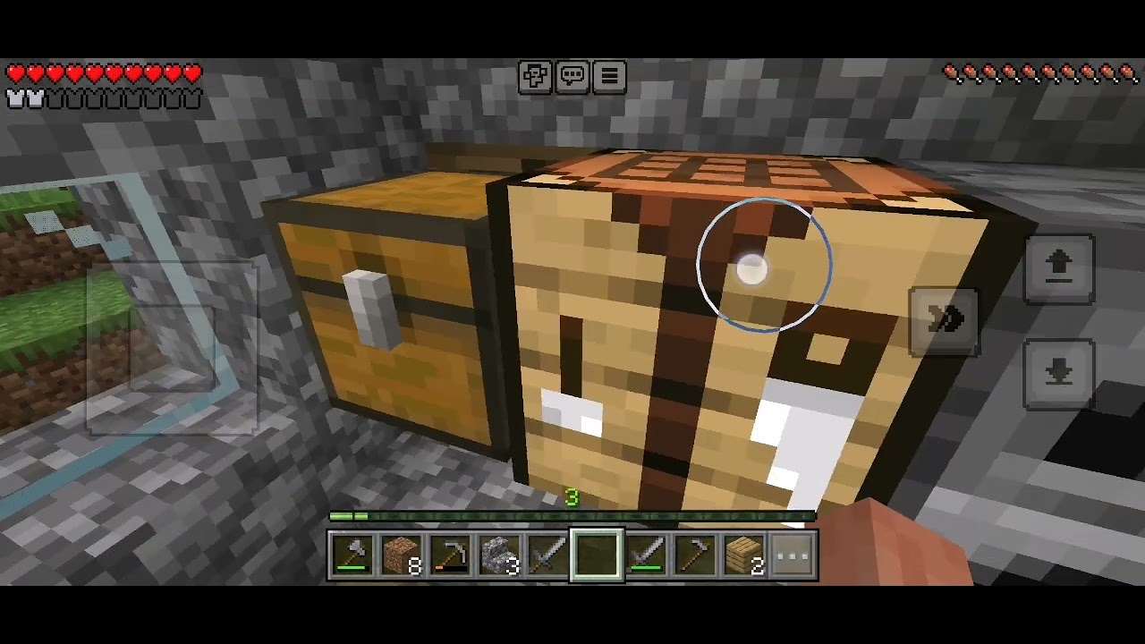 Toprak Minecraft oynuyor