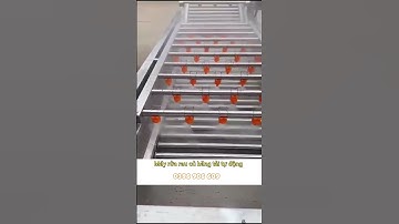 Máy rửa rau củ băng tải tự động công suất 300kgh