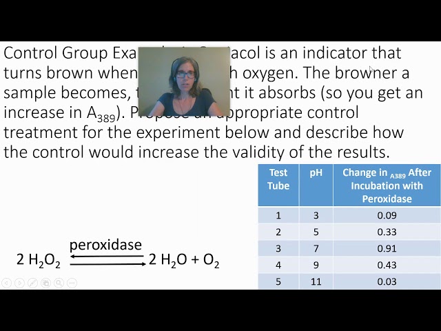 Negative Control - Nascer e Crescer