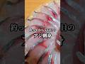 釣って5日熟成させたアジの刺身が美味すぎた #アジ #刺身 #魚の捌き方
