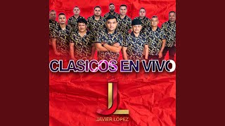 Video thumbnail of "Javier Lopez y Los Reyes Vallenatos - No es negra es morena (En Vivo)"