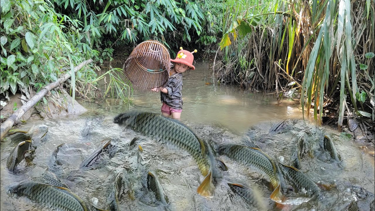 Meet the giant fish in the puddle. The girl used an ancient tool. Catch a lot of large fish