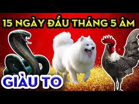 Video Tử Vi Học Nhận Định, 3 Con Giáp Sắp Hết Khổ Gặp Thời... - youtube