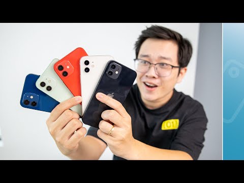 Bảng Màu Ghi - TRÊN TAY TOÀN BỘ 5 MÀU SẮC CỦA IPHONE 12!