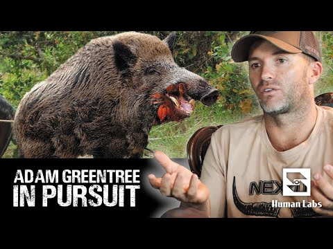 Saving A Friend From A Wild Boar Attack | Adam Greentree: In Pursuit #4