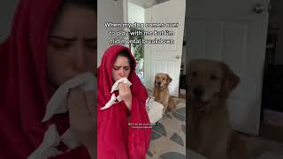 At Least He Offers Emotional Support goldenretriever comedy dogmom dogs funnydogs shorts