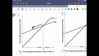 CH 11 - Factors that Influence PAE Curve