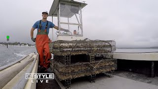 Living Local: Niantic Bay Oysters