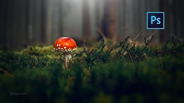 Photoshop cc Tutorial: How to Edit Photo (Macro Photography)