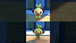 #サルノリ  #grookey  #pokemonscarletandviolet