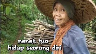 bantu nenek tua bawa kayu bakar