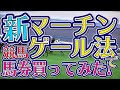 競馬検証・新マーチンゲール法で馬券買ってみた。