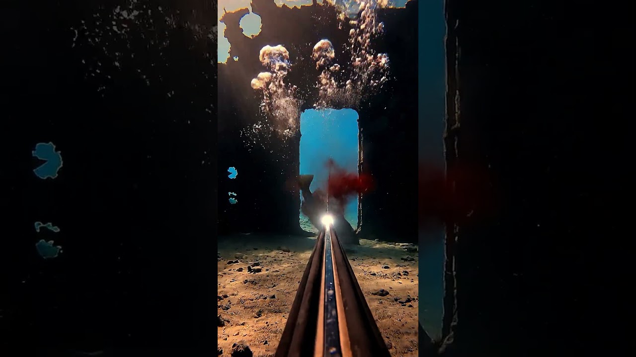 Lobster Rodeo!! 🤣 