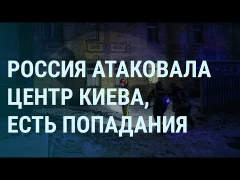 Видео: 12 экономящих время хаков для владельцев собак